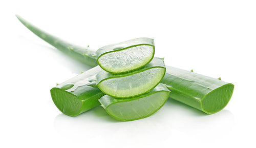 Aloe vera